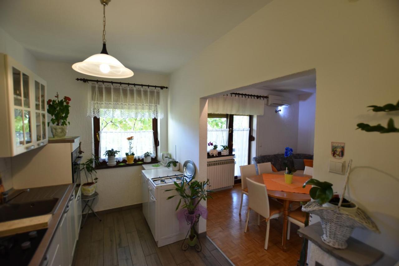 Apartments Frkovic Ledenice Exterior photo