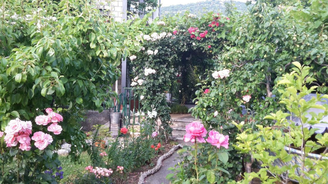 Apartments Frkovic Ledenice Exterior photo