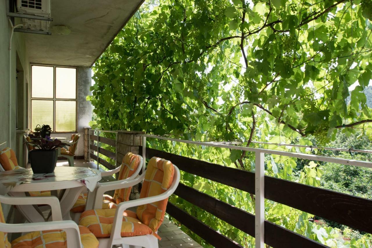Apartments Frkovic Ledenice Exterior photo